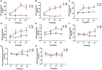 A dynamics association study of gut barrier and microbiota in hyperuricemia